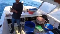Türk balıkçı Yunan askerlerine seslendi! Gücün yetiyorsa müdahale et