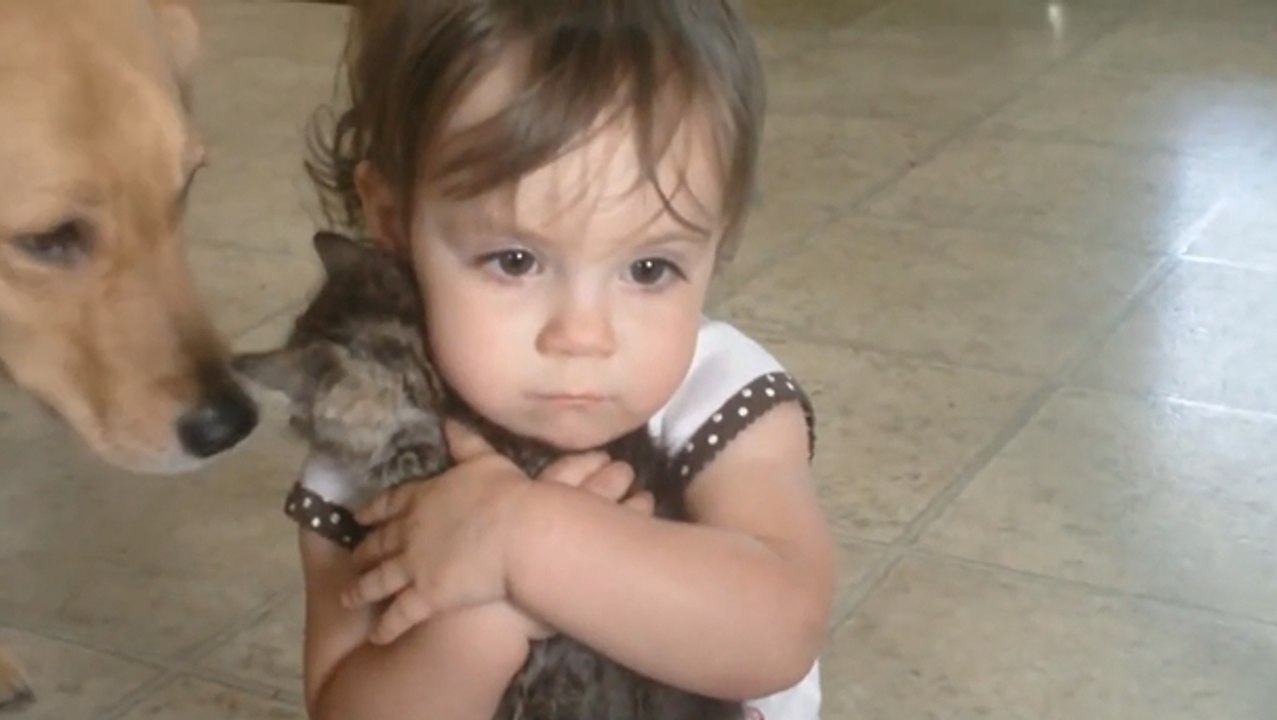 Cette petite fille refuse d'arrêter de câliner son chaton. Un amour débordant !