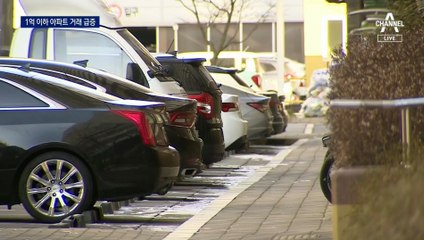 투기 먹잇감 된 1억 이하 아파트…33채 싹쓸이도