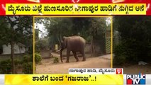 Wild Elephant Enters Nagapura Haadi In Hunsur | Mysuru