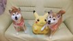 Muncie Animal Shelter : le refuge pour chiens propose de promener les animaux tout en jouant à Pokémon Go