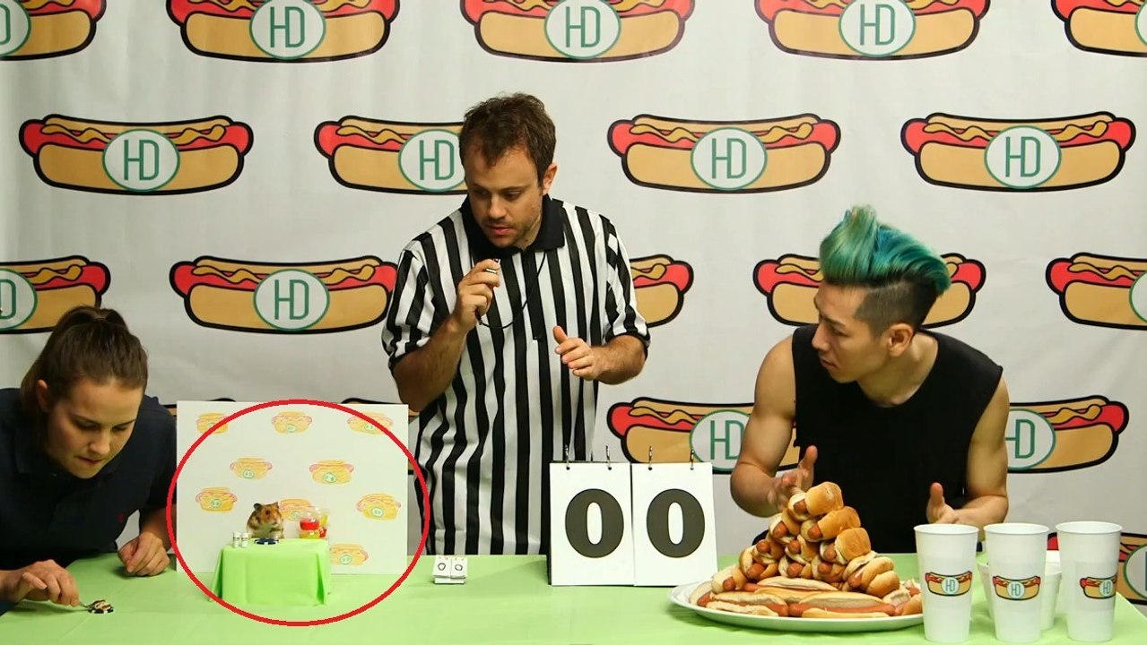 Il affronte, lors d'un concours de nourriture, un curieux adversaire. Vous n'allez pas en revenir !