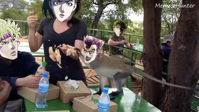 JoJo's Monkey Adventure - Part 2