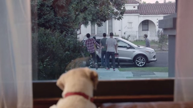 Ce chien attend son maître. Mais vous ne devinerez jamais la raison de cette attente