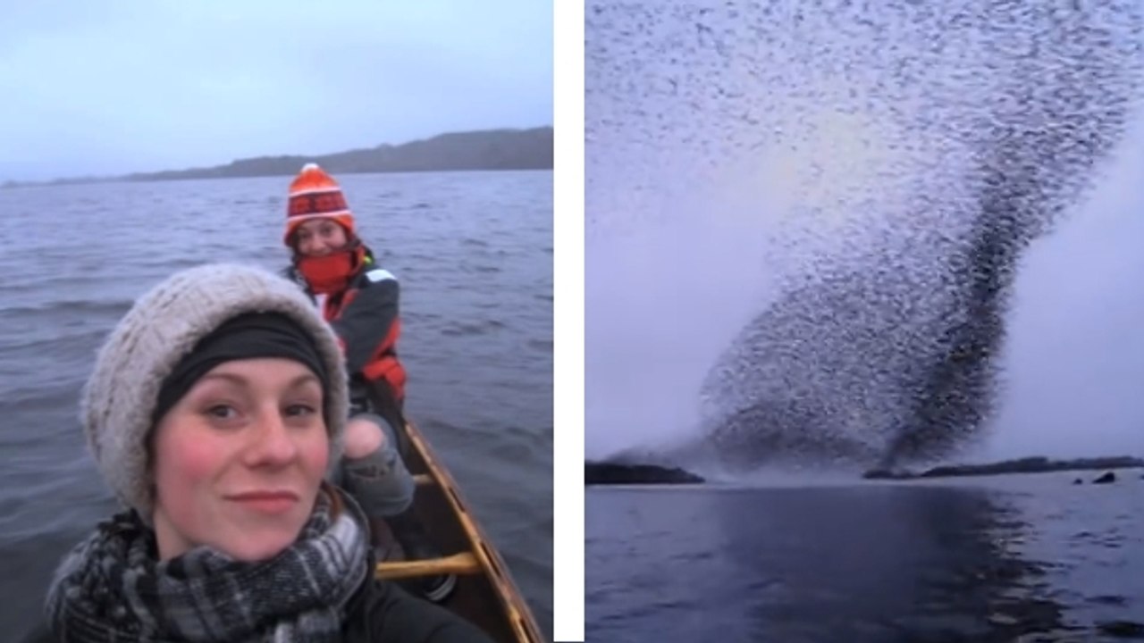 Ces filles ont vu un truc totalement dingue en se baladant sur un lac. Vous n'allez pas y croire
