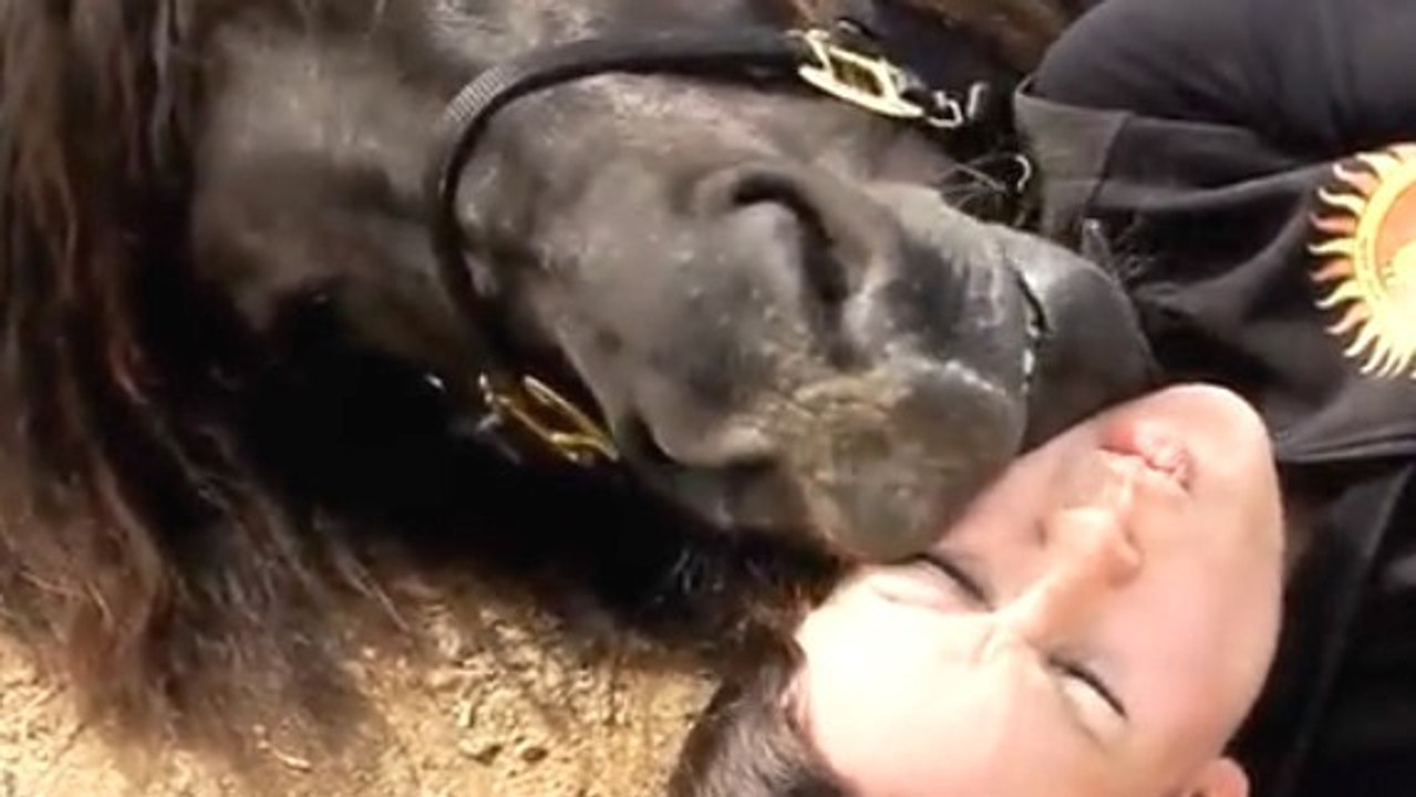 Cette femme est très proche des chevaux. Elle peut faire ce qu'elle veut avec eux !