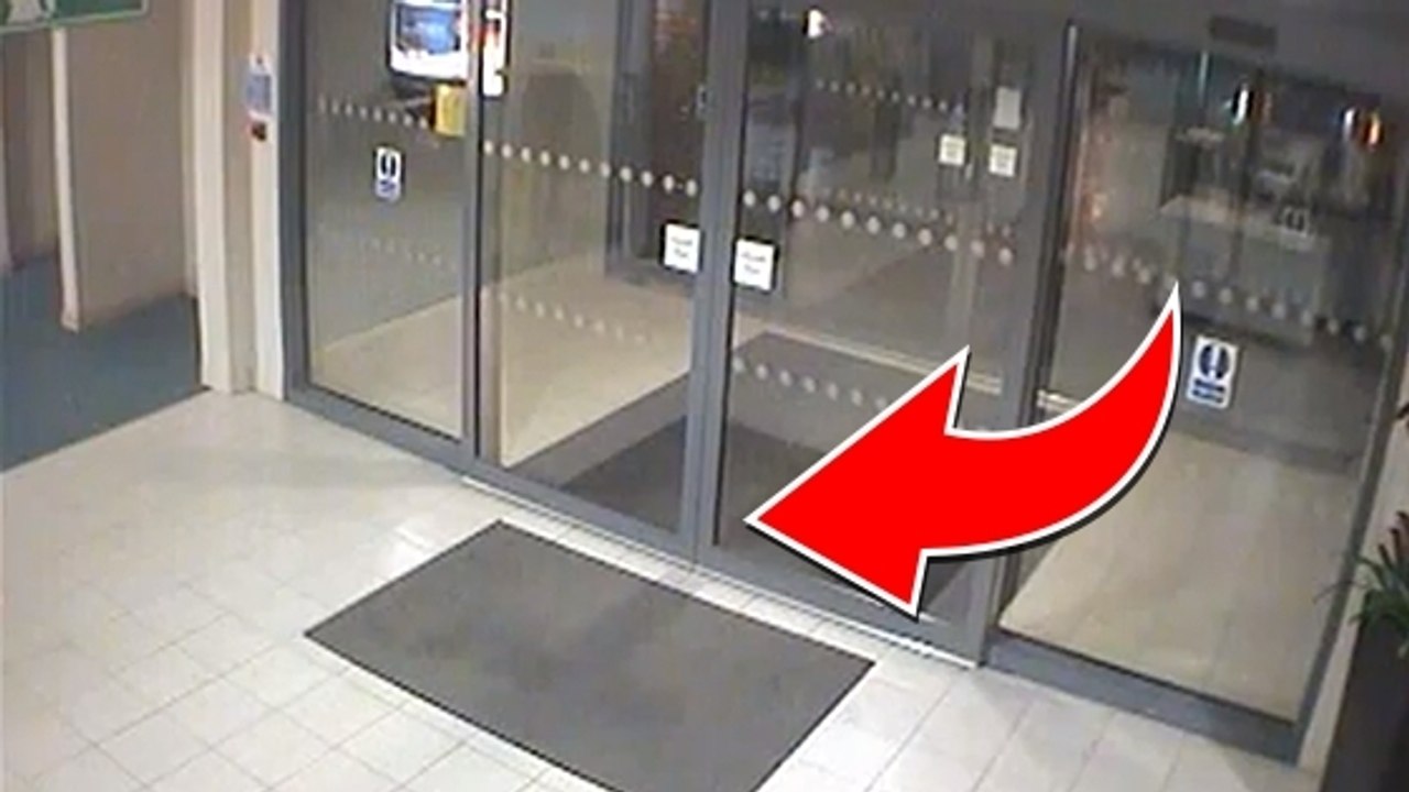 Ces policiers reçoivent une drôle de visite au poste. Vous n'allez pas en croire vos yeux