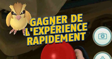 Pokémon Go : comment gagner de l'expérience rapidement