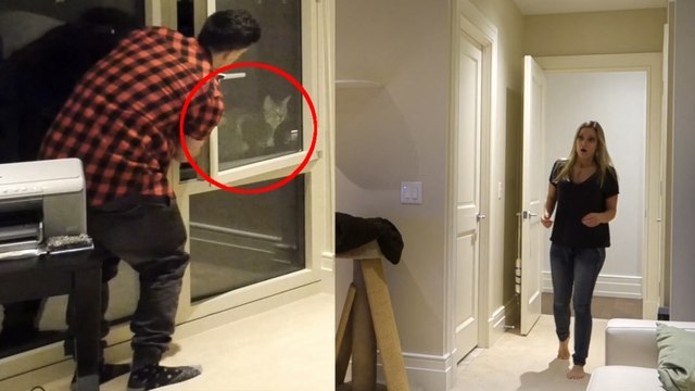 Pour se venger, il fait croire à sa copine qu'il jette son chat par la fenêtre