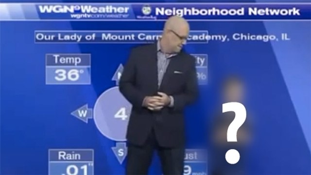 Ce présentateur météo a été pris de court par un invité surprise en plein direct. Une scène hilarante !