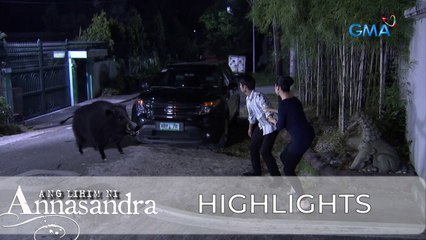 Ang Lihim ni Annasandra: Enrico attacks again! | Episode 61
