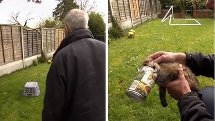 Une femme a trouvé un bébé renard en très mauvaise posture dans son jardin. Ce qu'elle a fait est adorable