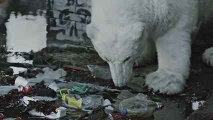 Cet ours polaire se retrouve dans un monde pollué. Son histoire va vous bouleverser