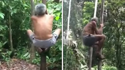 Cet homme a une technique totalement dingue pour grimper aux arbres