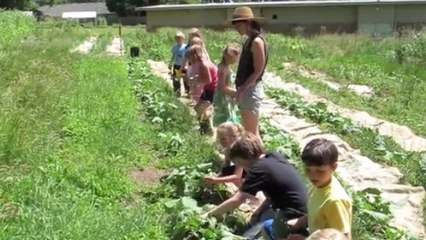 L'obésité touche de plus en plus d'enfants. Cette vidéo pourrait bien apporter la solution