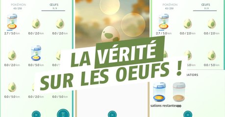Pokémon Go : les oeufs de Pokémon ne fonctionnent pas comme ils devraient