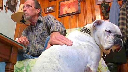 Ce chien est un véritable héros. Il a sauvé la vie de son maître d'une manière incroyable !