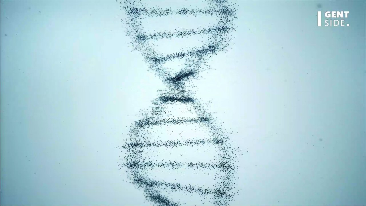 Covid-19: Diese 5 Gene sind dafür verantwortlich, ob du schwer erkrankst