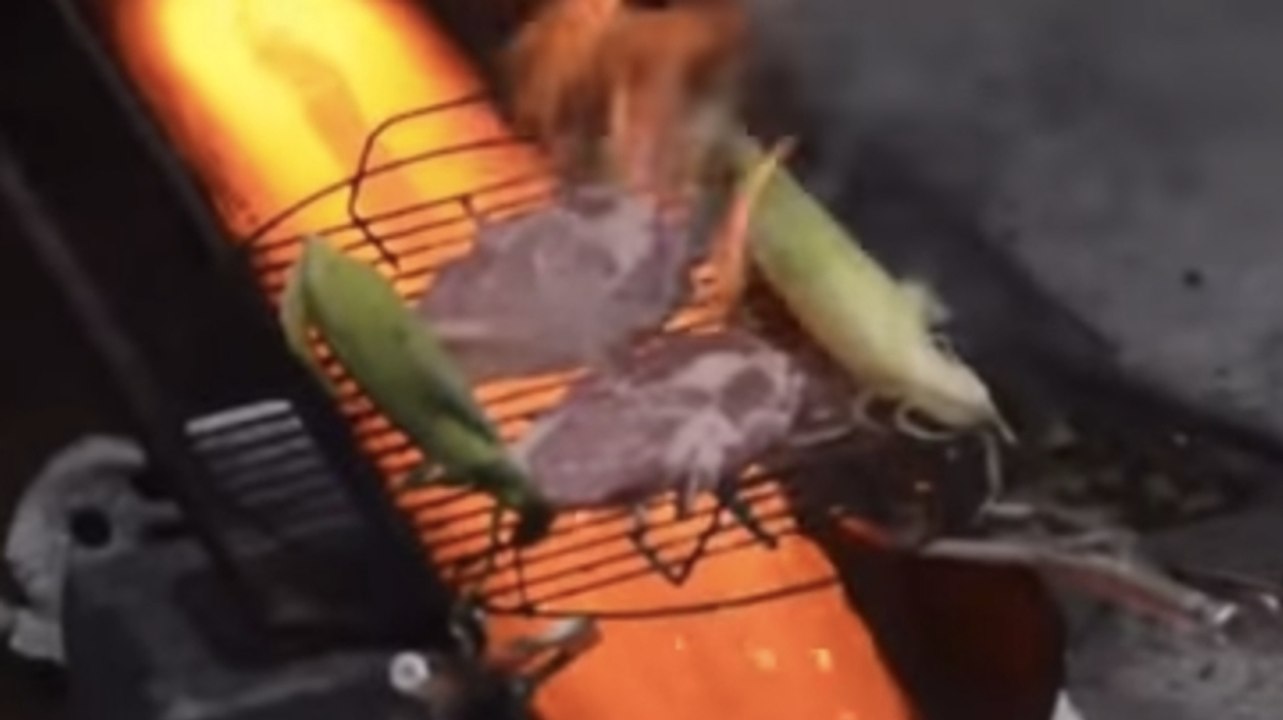 Ces gens ont créé le barbecue le plus incroyable du monde. Vous n'allez pas en revenir