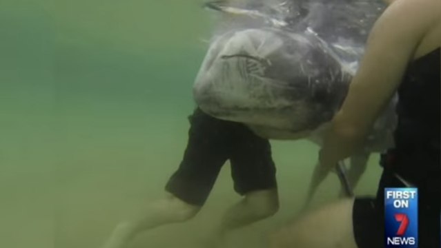 Ces gens ont découvert un dauphin échoué sur la plage. Ils ont alors fait quelque chose d'extraordinaire