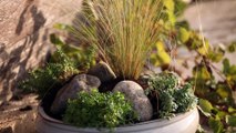 Atelier jardin - Comment composer un mini-paysage de rocaille ?