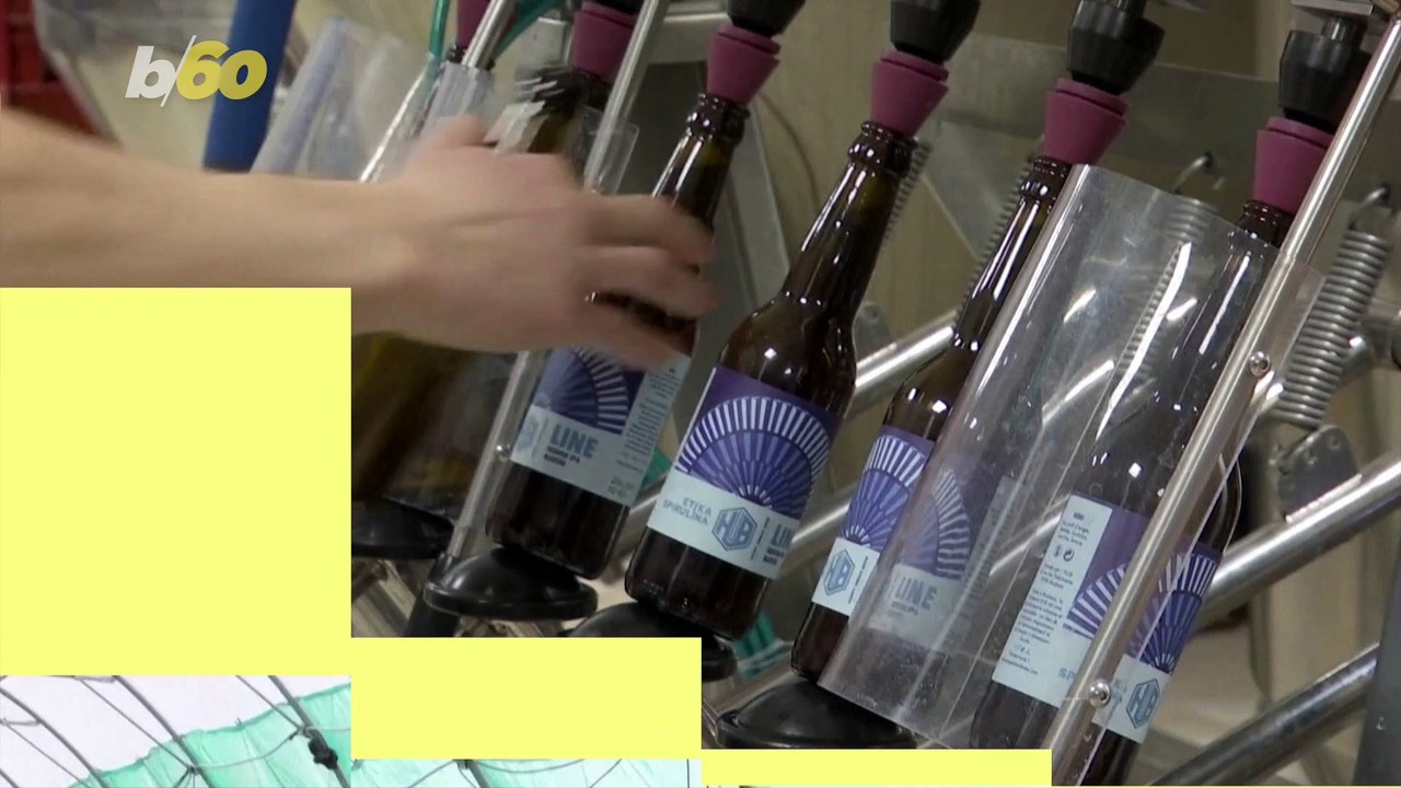 A French Craft Brewery Is Using Algae To Make Blue Beer