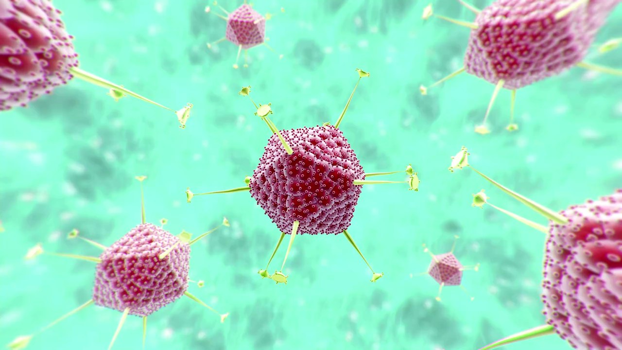 Corona-Bekämpfung: So hilft jetzt Blut von genesenen Covid-Patienten