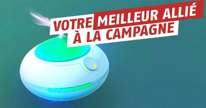 Pokémon Go : attraper des Pokémon rares à la campagne grâce aux encens