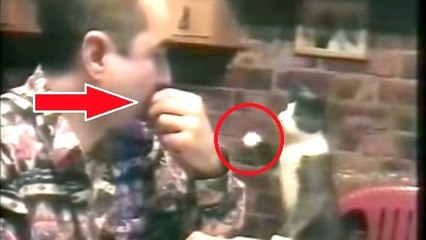 Cet homme est malentendant. La façon dont son chat communique avec lui est géniale !