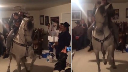 Les chevaux adorent faire la fête. La preuve