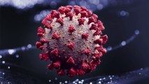 Studie: Neuronenschäden durch Coronavirus?