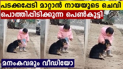 Adorable Video Shows Toddler Covering Dog's Ears To Stop It Getting Scared of Fireworks