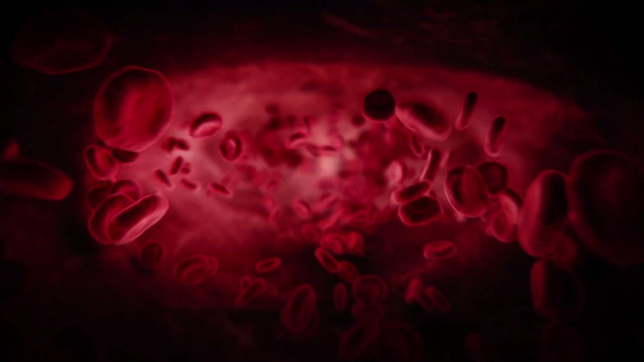 Awareness schaffen: Millionen Menschen sind von Blutstörung betroffen