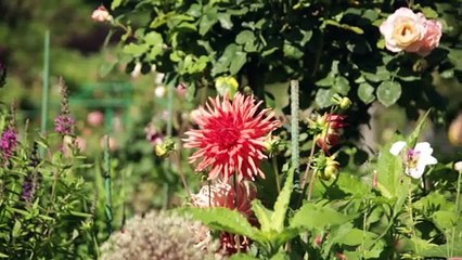 Jardin d'exception - Le jardin de Claude Monet