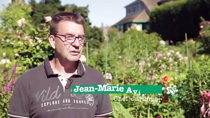 Jardin d'exception - Bassins aux Nymphéas