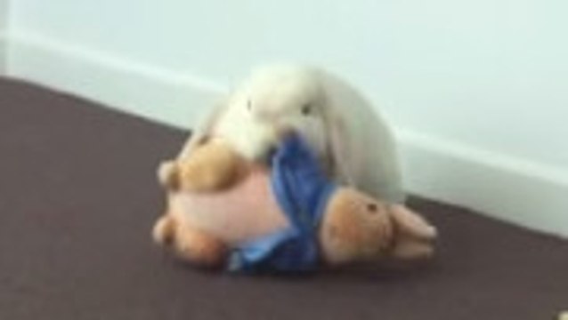 Ce lapin a trouvé le doudou idéal. Ensemble, ils vont vous faire craquer !
