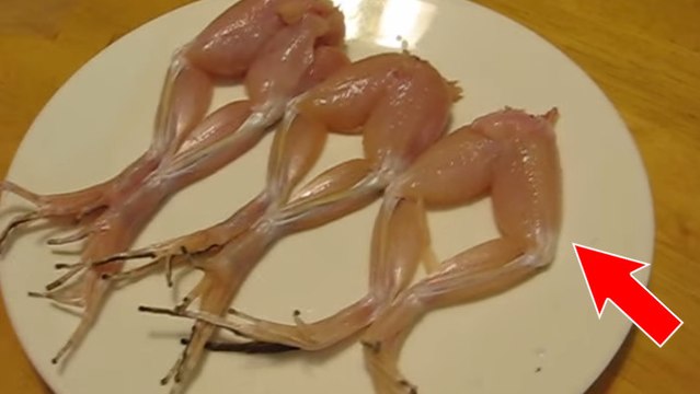 Il se passe quelque chose d'incroyable quand on verse du sel sur des cuisses de grenouilles