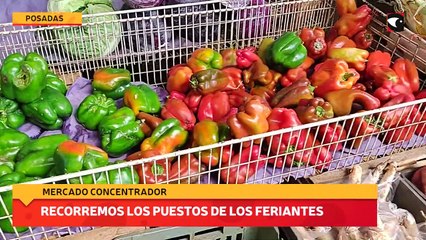 Recorremos los puestos de los feriantes