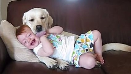 La complicité entre cet enfant et ce chien est surprenante. Ils sont inséparables !