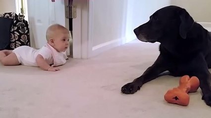 Ce bébé rampe pour la première fois sous les encouragements de son chien. Un duo à croquer !