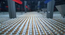 Ils ont créé une réaction en chaîne avec des milliers de balles de ping pong et de pièges à souris. Le résultat est étonnant