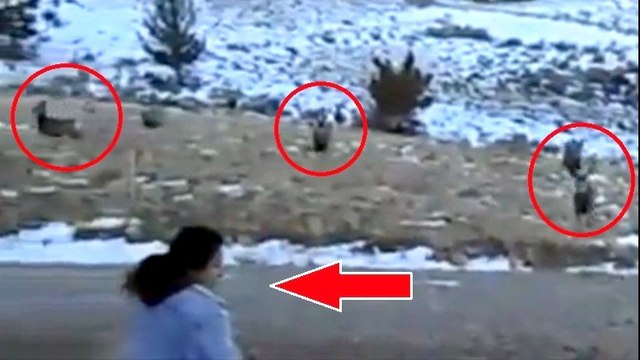 Quand cette femme fait un cri, il se passe quelque chose de fou. C'est incroyable !