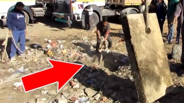 Ils ont entendu un bruit sous cette planche. Mais ils ne s'attendaient pas à trouver ça