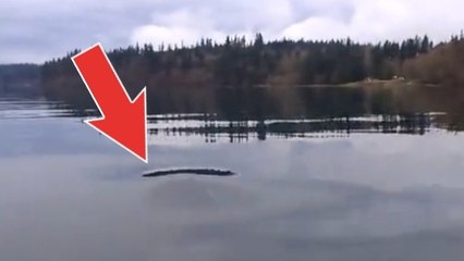 Cet homme a eu la surprise de sa vie pendant une balade en bateau