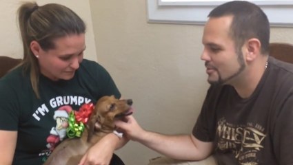 Ils devaient abandonner leur chien malade. Mais un vétérinaire a fait quelque chose de magnifique pour les aider