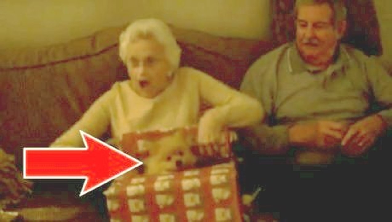 Cette mamie a reçu un cadeau de Noël formidable. Un grand moment d'émotion