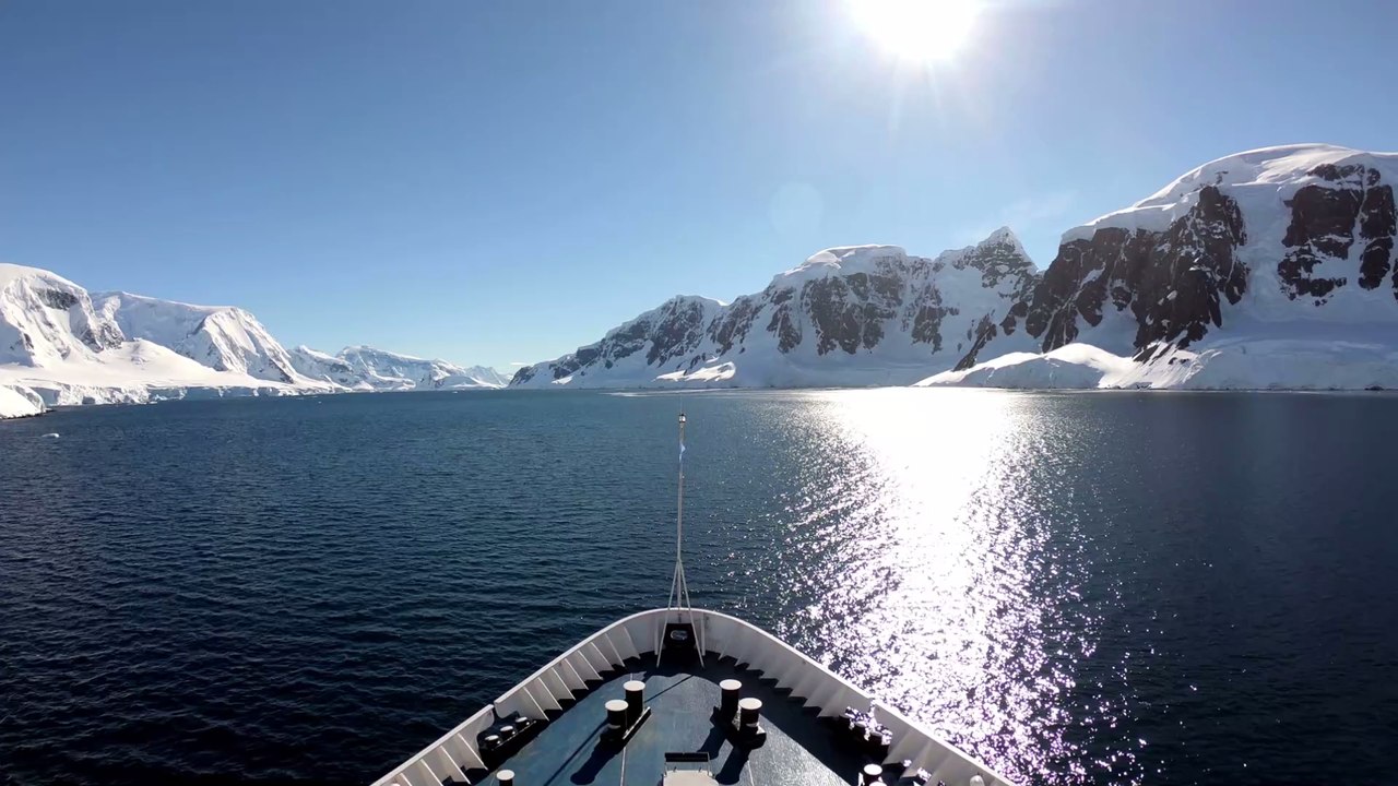 Nach Abbruch von riesigem Eisberg: Forscher machen erstaunlichen Fund