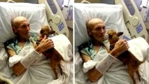 Cet homme était à l'hôpital en train de mourir. Mais quand il a retrouvé son chien, tout a changé !