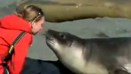 Cette femme et ce phoque se rencontrent pour la première fois. La suite est adorable