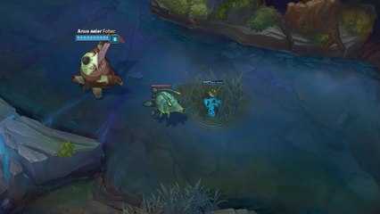 League of Legends : la synergie improbable entre Tahm Kench et le carapateur
